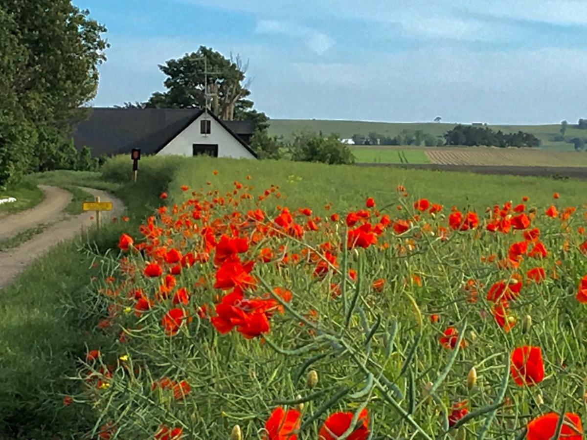 Wingardhs B&B Oesterlen Löderup Eksteriør bilde